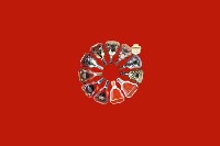 邢台广宗回收红酒